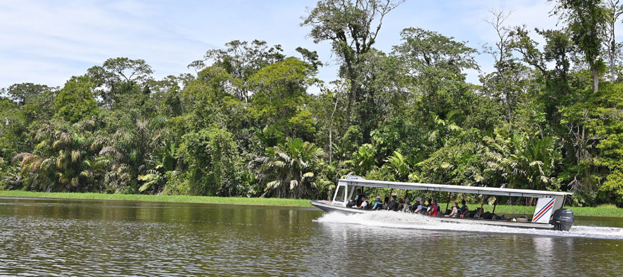 tortuguero-national-park-tours