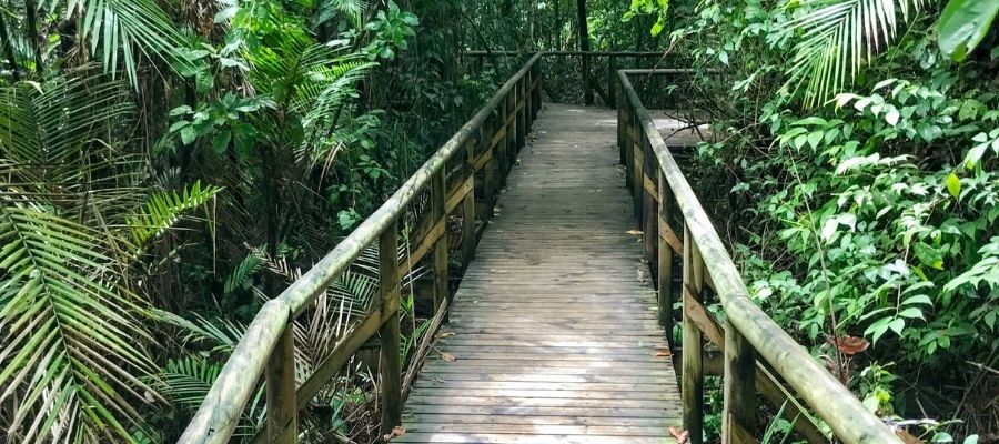 Parque Nacional de Manuel Antonio