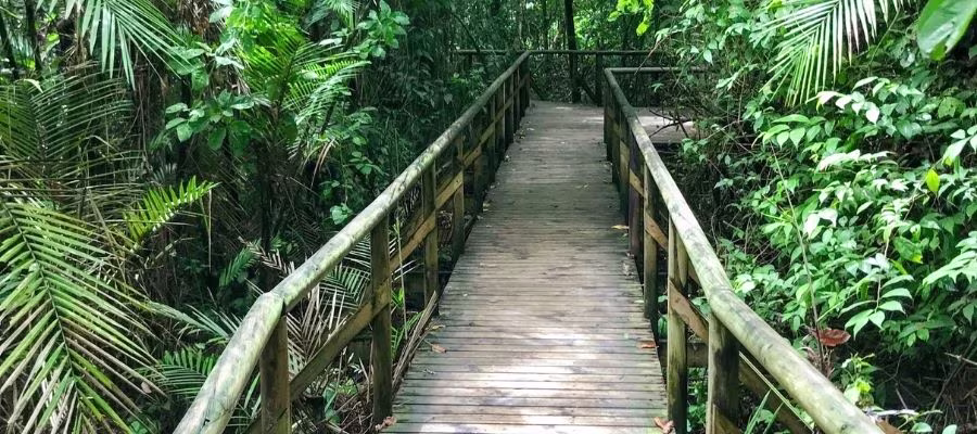 Parque Nacional de Manuel Antonio
