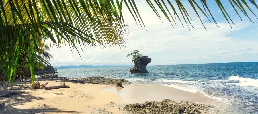REFUGE GANDOCA-MANZANILLO