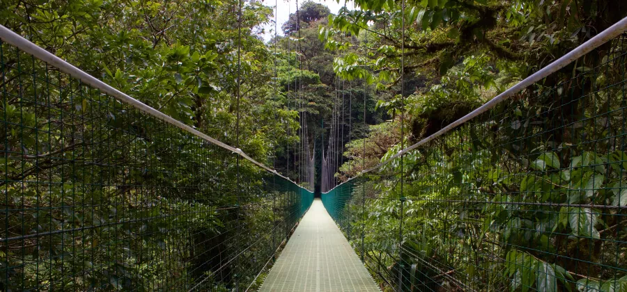  RECORRER LOS PUENTES COLGANTES DEL PARQUE SELVATURA