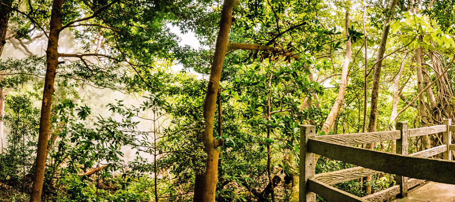 point-of-view-rincon-de-la-vieja