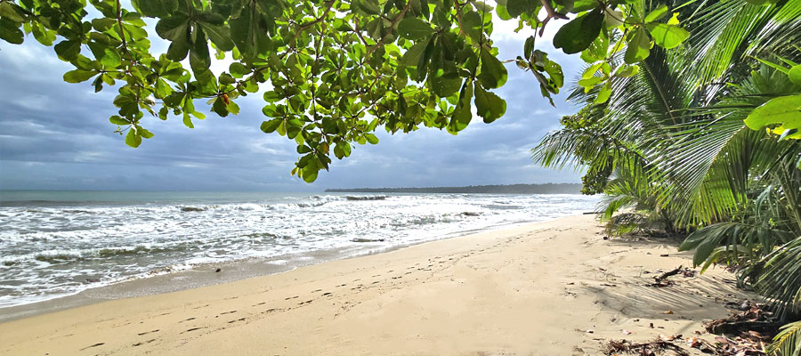 playa-vargas