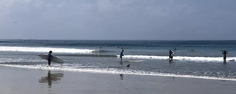 TOMAR A UNA CLASE DE SURF 