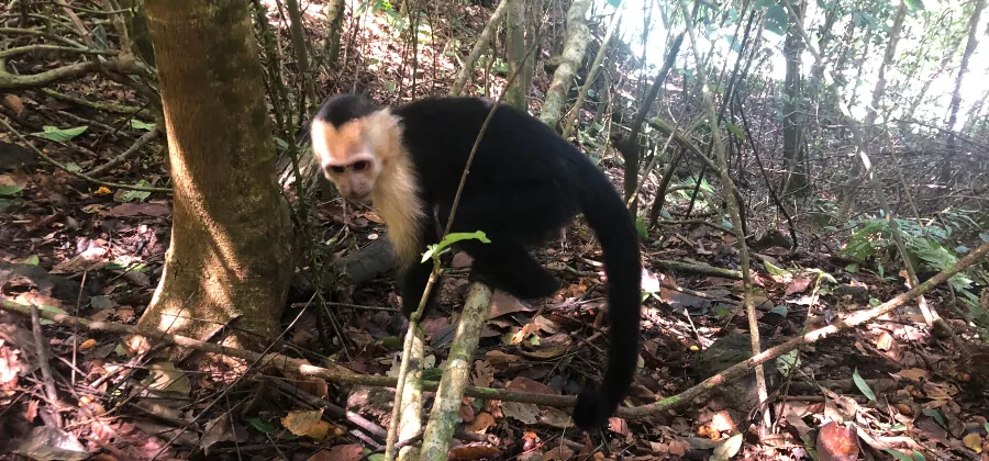 El Parque del Lado Tierra