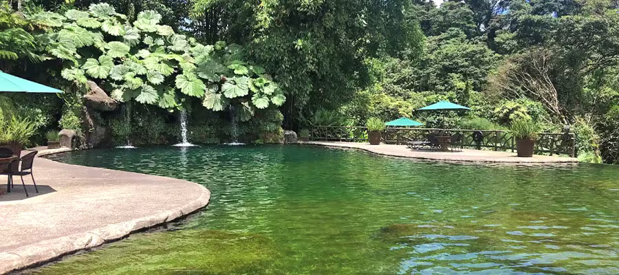 restaurant-la-paz-waterfall-garden