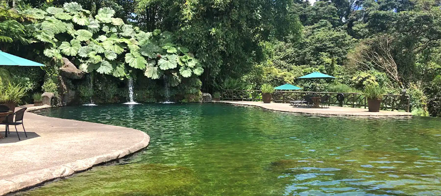 restaurant-la-paz-waterfall-garden