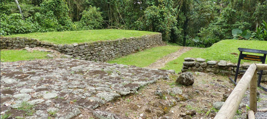 guayabo-site