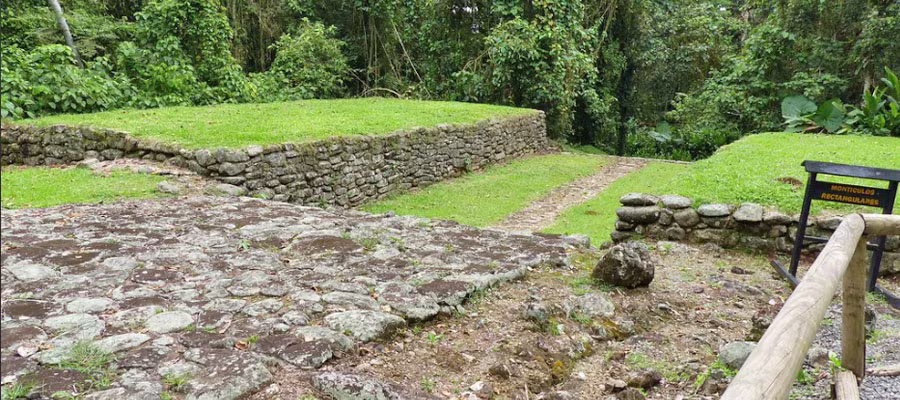 guayabo-site