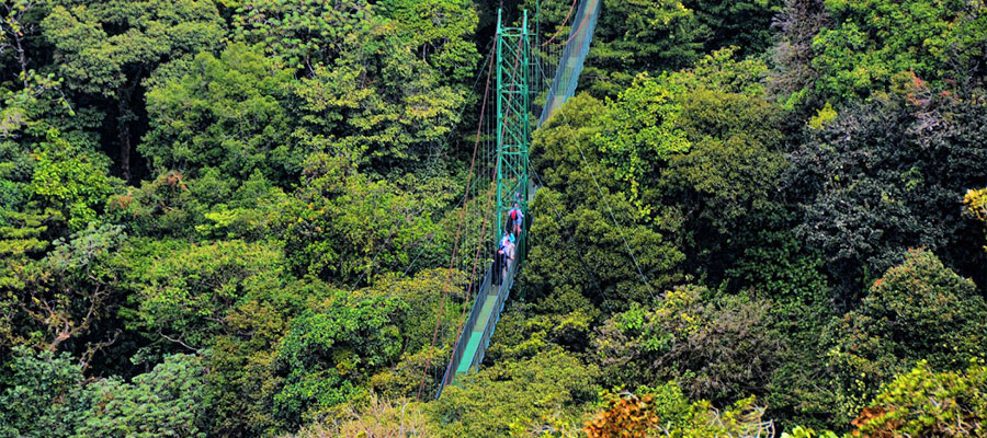 pont-suspendu-cloud-forest-monteverde