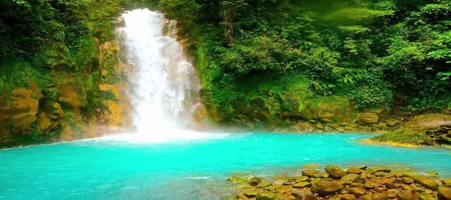 UNE RIVIÈRE MAGIQUE