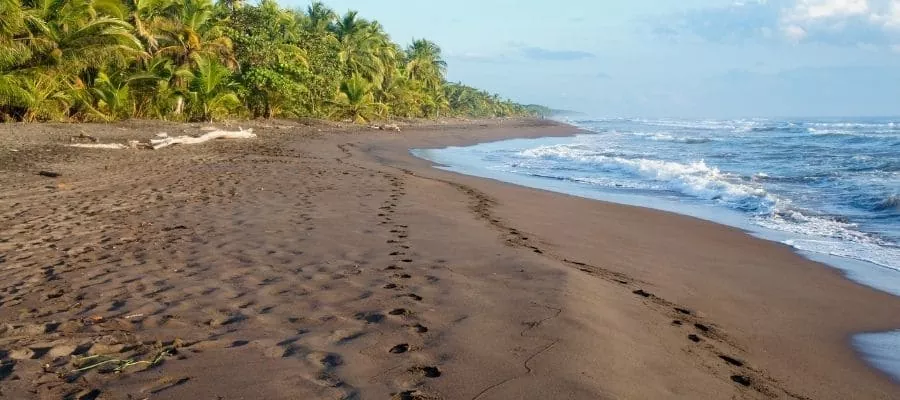 LAS PLAYAS