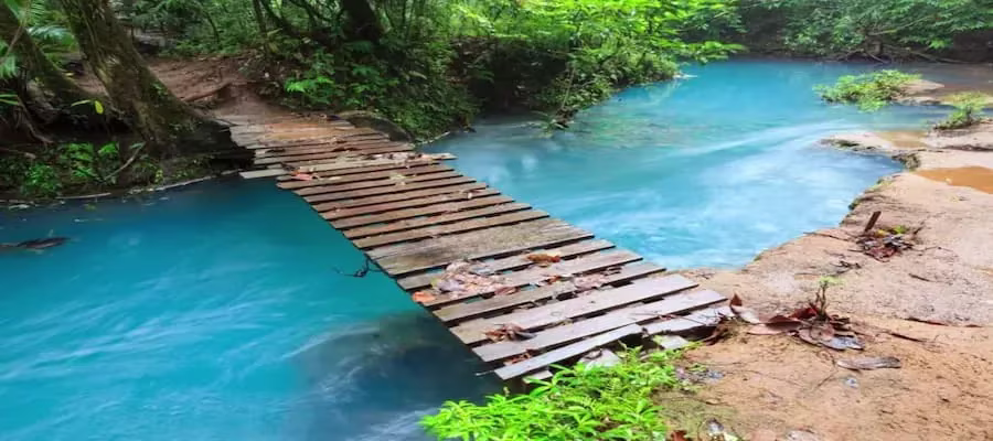 UNE RIVIÈRE MAGIQUE