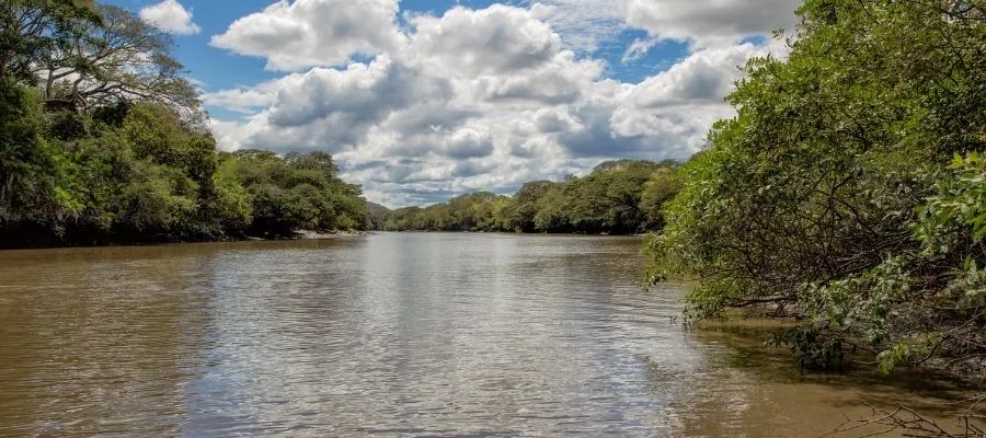 FAIRE UN SAFARI EN BATEAU AU PARC DE PALO VERDE