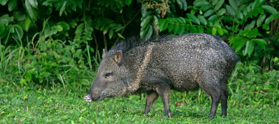 DÉCOUVRIR LE REFUGE DE L'HACIENDA BARÚ