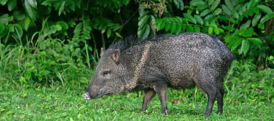 DÉCOUVRIR LE REFUGE DE L'HACIENDA BARÚ