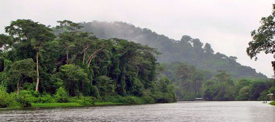 cerro-tortuguero
