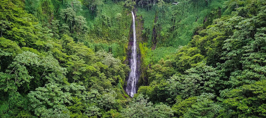 coco-island-waterfall