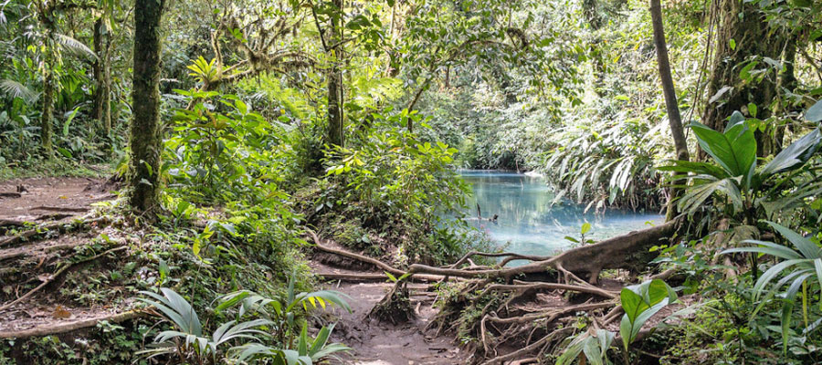 national-parc-tenorio-volcano