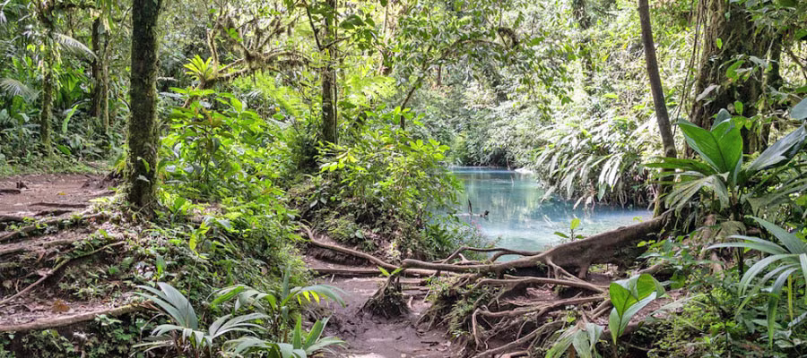 national-parc-tenorio-volcano