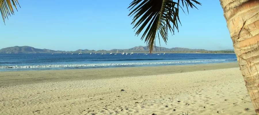 Tamarindo