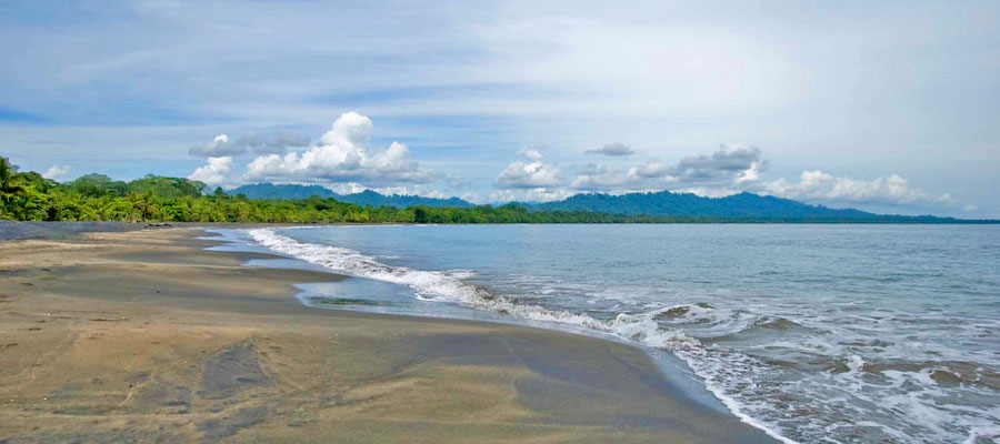 playa-negra-puerto-viejo.jpg