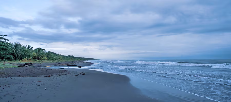 cahuita-playa-negra