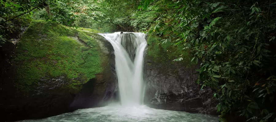  CASCADA EL PAVON?