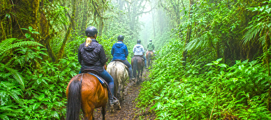 randonnee-cheval-cloud-forest-monteverde