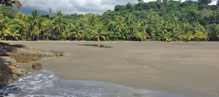 playa-ventanas-ojochal
