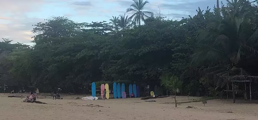 Tomar una clase de surf