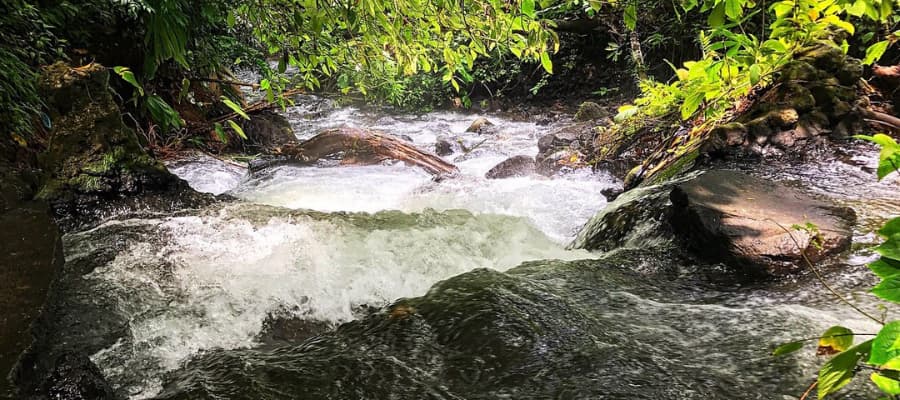 Les sources Chollín
