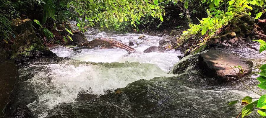 Les sources Chollín