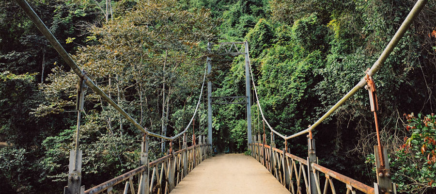nauyaca-bridge