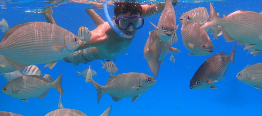 Snorkeling  in Cahuita in Costa Rica.