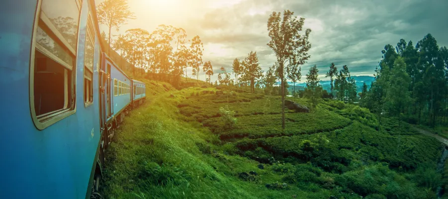 EN TRAIN costa rica 