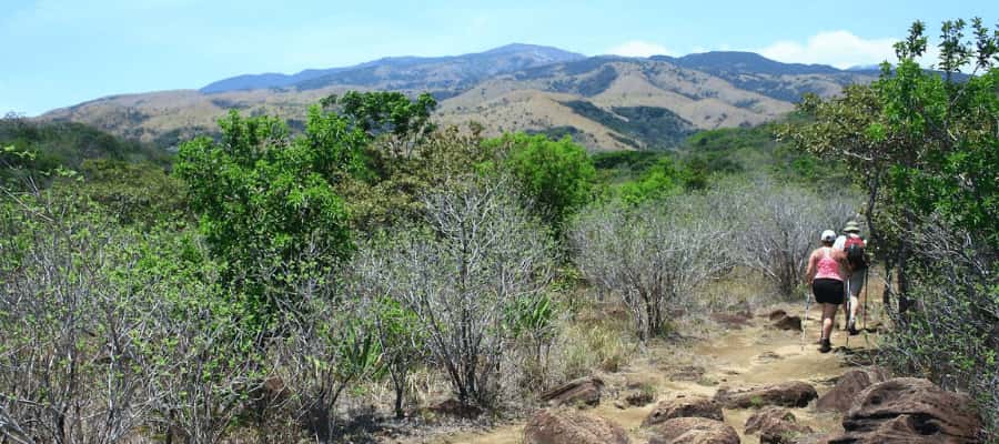 SENTIERS DE RANDONNÉE À RINCON DE LA VIEJA