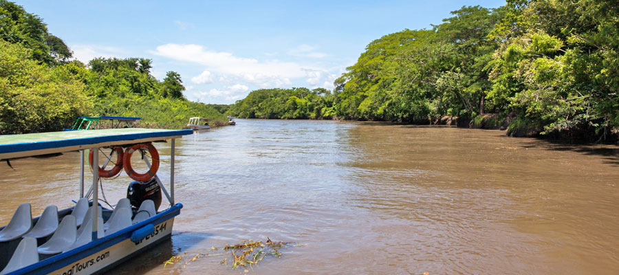 Palo-Verde-National-Park