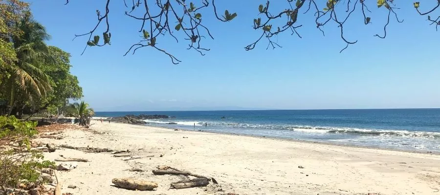 RICHE NATURE DE MONTEZUMA