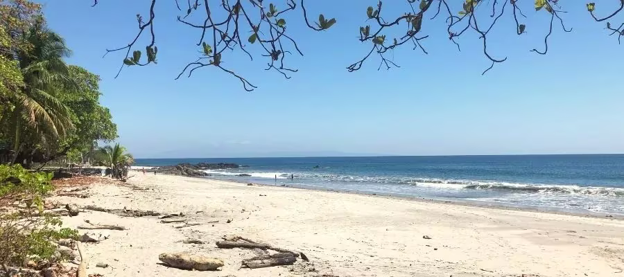 RICHE NATURE DE MONTEZUMA