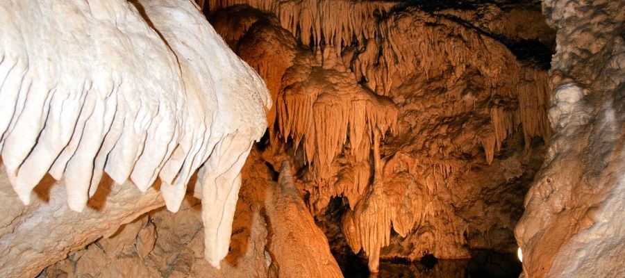 ESPELEOLOGÍA EN EL PARQUE NACIONAL DE BARRA HONDA