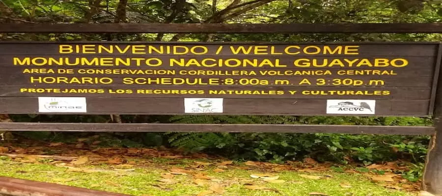 GUAYABO