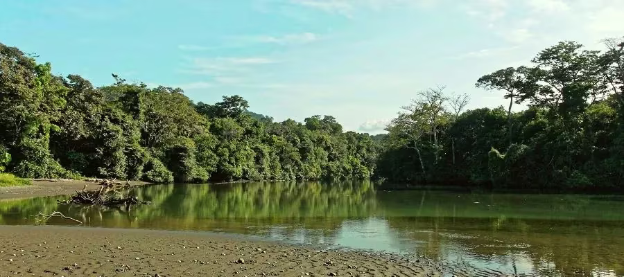 SANTA TERESA & CORCOVADO