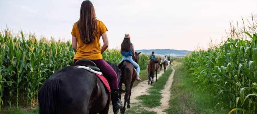 PROMENADE À CHEVAL