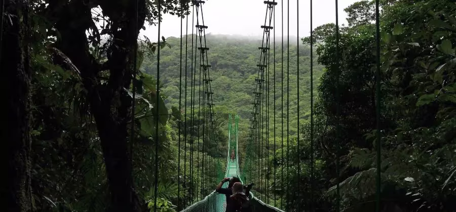 puentes colgantes