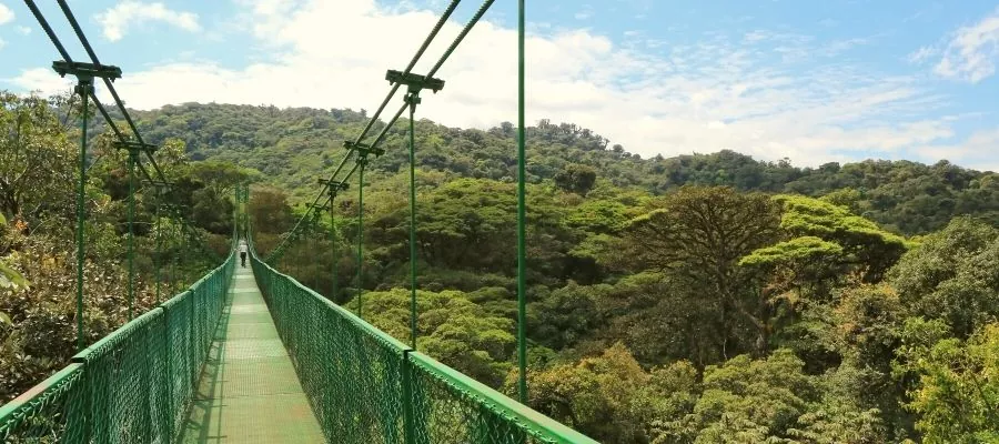 PONTS SUSPENDUS DE MONTEVERDE