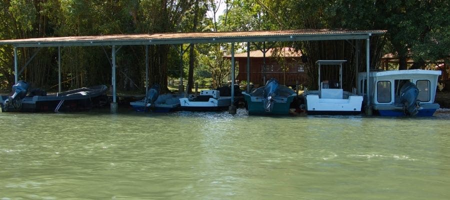 ACCÉDER À TORTUGUERO