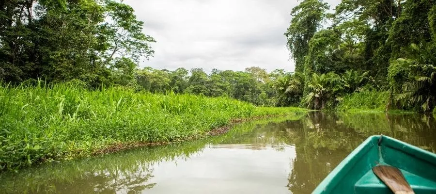 KAYAK EN LOS CANALES DE TORTUGUERO