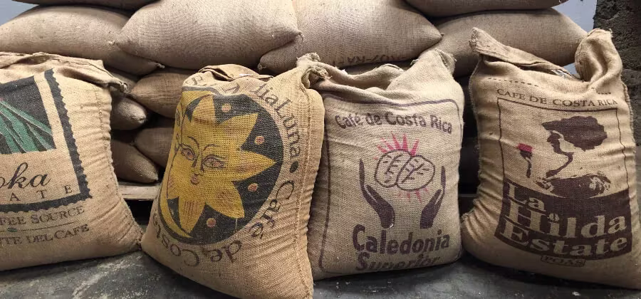 Histoire du Café au Costa Rica