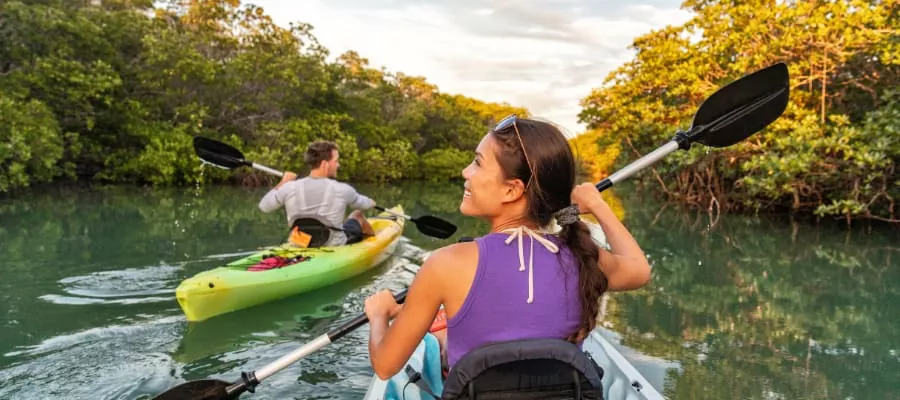 Kayak dans la Mangrove de Sierpe